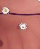 لباس خواب تور فانتزی زنانه