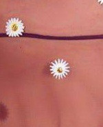 لباس خواب تور فانتزی زنانه